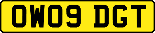 OW09DGT