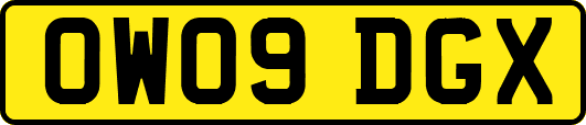 OW09DGX