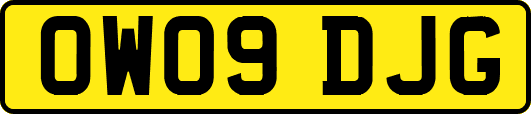 OW09DJG