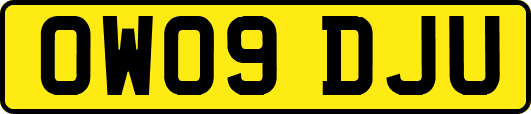OW09DJU