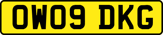 OW09DKG