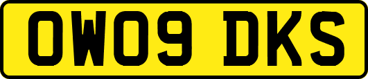OW09DKS