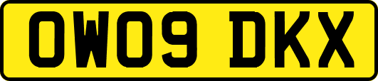 OW09DKX