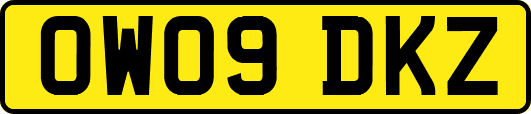 OW09DKZ