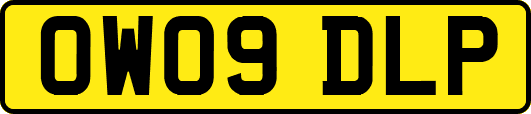 OW09DLP