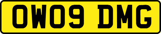 OW09DMG