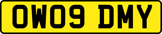 OW09DMY