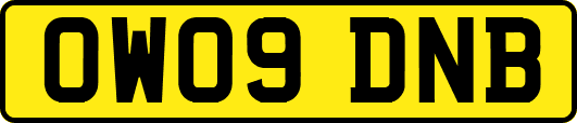 OW09DNB