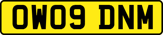 OW09DNM