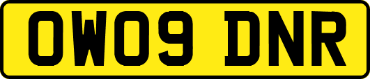OW09DNR