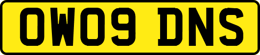 OW09DNS