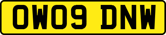 OW09DNW