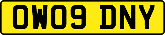 OW09DNY