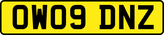 OW09DNZ