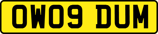 OW09DUM