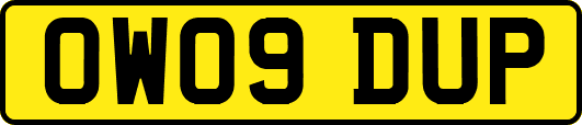 OW09DUP