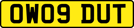 OW09DUT
