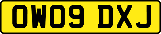 OW09DXJ