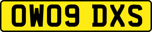 OW09DXS