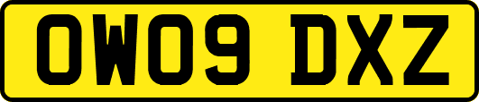 OW09DXZ