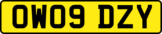 OW09DZY