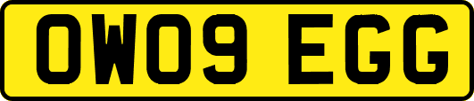 OW09EGG