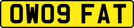 OW09FAT