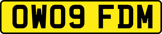 OW09FDM