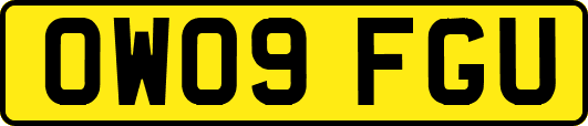 OW09FGU