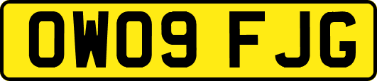 OW09FJG