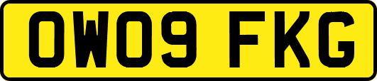 OW09FKG