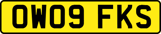 OW09FKS