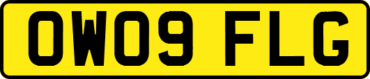 OW09FLG
