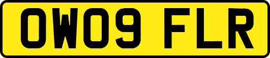 OW09FLR
