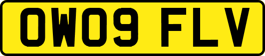 OW09FLV