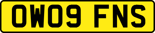 OW09FNS