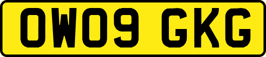 OW09GKG
