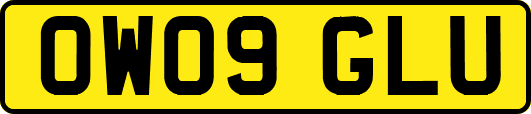 OW09GLU
