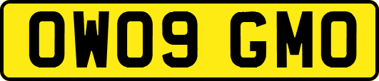 OW09GMO
