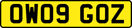 OW09GOZ