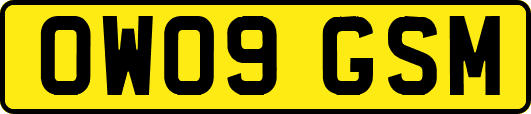 OW09GSM