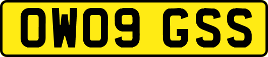 OW09GSS