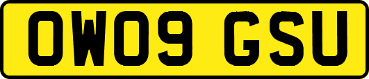 OW09GSU