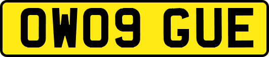 OW09GUE