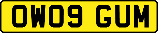 OW09GUM