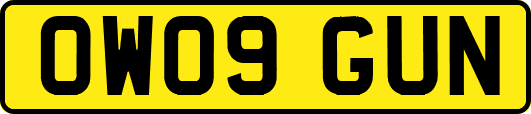 OW09GUN