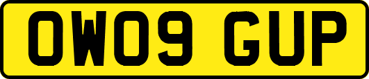 OW09GUP