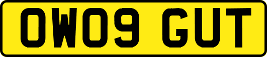 OW09GUT