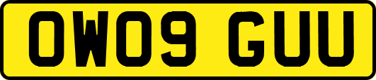 OW09GUU