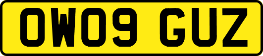OW09GUZ